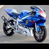 GSXR 600 Réplica GP