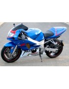 GSXR 600 Réplica GP