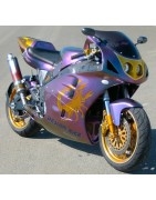 FZR Race One Scorpion caméléon