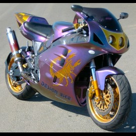 FZR Race One Scorpion caméléon