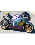 FZR Race One Scorpion caméléon
