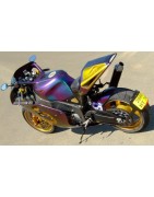 FZR Race One Scorpion caméléon