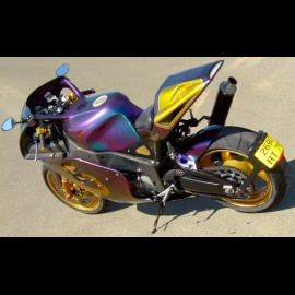 FZR Race One Scorpion caméléon