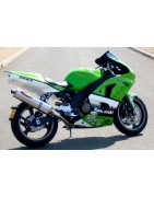 ZX6R Réplica GP