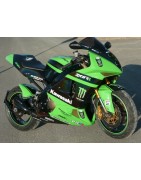 ZX6 RR Monster