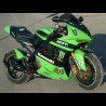ZX6 RR Monster