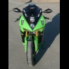 ZX6 RR Monster