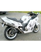 CBR XX Tribal