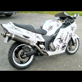 CBR XX Tribal