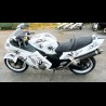 CBR XX Tribal