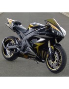 R1 Diabolique