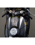 R1 Diabolique