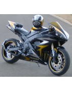 R1 Diabolique