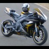 R1 Diabolique