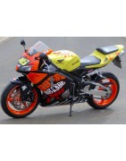 CBR 600 Rossi replica