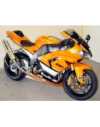 ZX10 Réplica GP orange