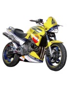 Hornet Réplica Rossi