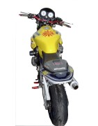 Hornet Réplica Rossi