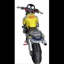 Hornet Réplica Rossi