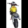 Hornet Réplica Rossi