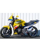 Hornet Réplica Rossi