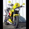 Hornet Réplica Rossi