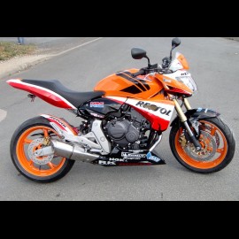 Hornet 600 Repsol (2007)