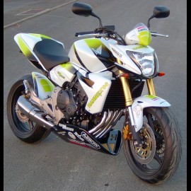 Hornet 600 Hannspree (2008)