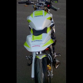 Hornet 600 Hannspree (2008)