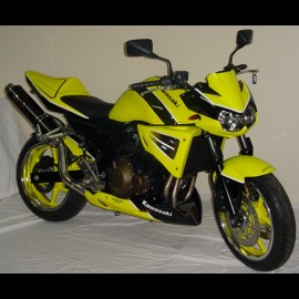 Z750 Divers couleurs (2006)