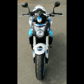 Hornet série limited