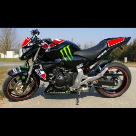 Hornet 600 Ben Spie (2012)