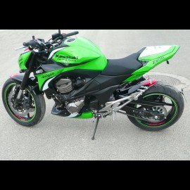 Z800 Réplica Superbike