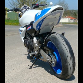 Hornet 600 Konica Minolta (2008)