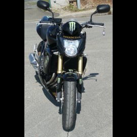 Hornet 600 Monster (2008)