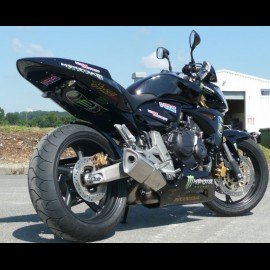 Hornet 600 Monster (2008)