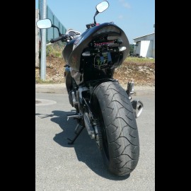 Hornet 600 Monster (2008)