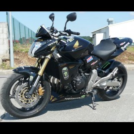 Hornet 600 Monster (2008)