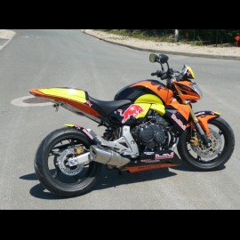 Hornet 600 Red Bull (2008)