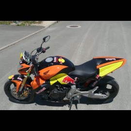 Hornet 600 Red Bull (2008)