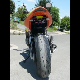 Hornet 600 Red Bull (2008)