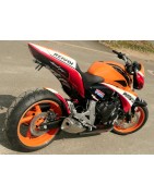 Hornet Repsol (2011)