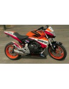 Hornet Repsol (2011)