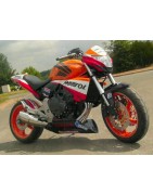 Hornet Repsol (2011)