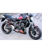 FZ6 Torro Rosso