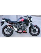 FZ6 Torro Rosso