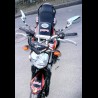 FZ6 Torro Rosso