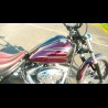 SOFTAIL BLACKLINE