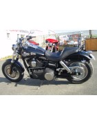 DYNA FAT BOB