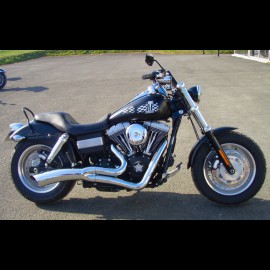 DYNA FAT BOB